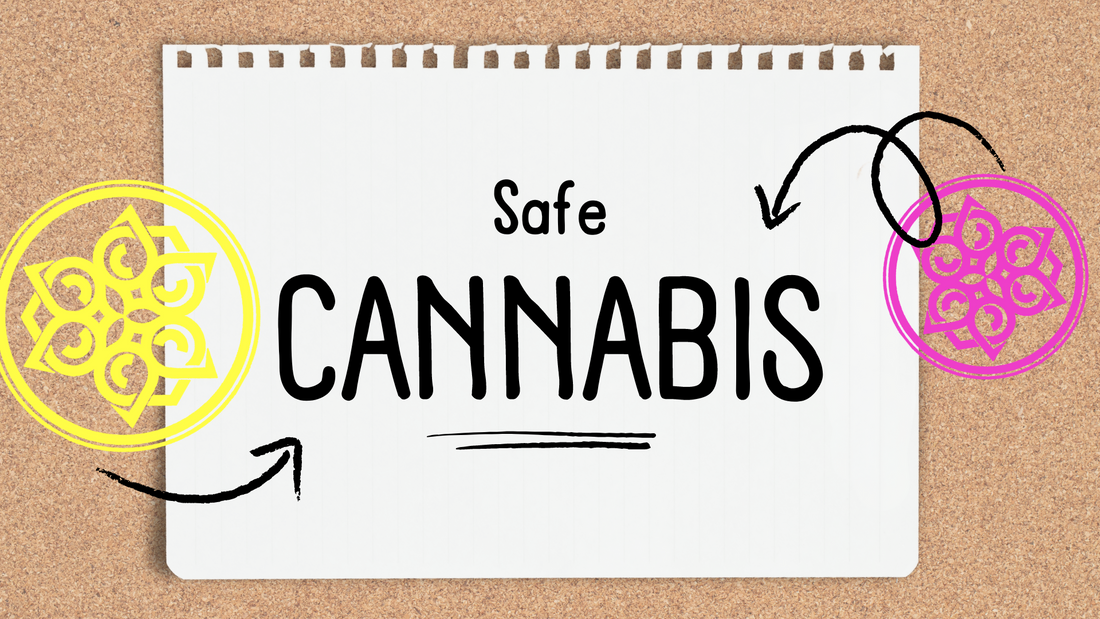 Are You Using Cannabis Safely? Learn the Top Mistakes to Avoid!